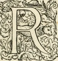 Picture 5 of 439 from I.[-VI.] pars Romanae vrbis topographiae & antiquitatum, quâ succinctê & breviter describuntur omnia quae tam publicê quam privatim videntur anim-adversione digna: (1597), leaf 14