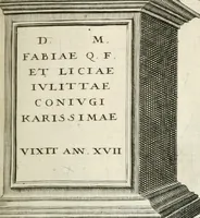 Picture 76 of 439 from I.[-VI.] pars Romanae vrbis topographiae & antiquitatum, quâ succinctê & breviter describuntur omnia quae tam publicê quam privatim videntur anim-adversione digna: (1597), leaf 156