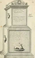Picture 161 of 439 from I.[-VI.] pars Romanae vrbis topographiae & antiquitatum, quâ succinctê & breviter describuntur omnia quae tam publicê quam privatim videntur anim-adversione digna: (1597), leaf 302