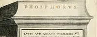 Picture 201 of 439 from I.[-VI.] pars Romanae vrbis topographiae & antiquitatum, quâ succinctê & breviter describuntur omnia quae tam publicê quam privatim videntur anim-adversione digna: (1597), leaf 378