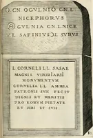 Picture 213 of 439 from I.[-VI.] pars Romanae vrbis topographiae & antiquitatum, quâ succinctê & breviter describuntur omnia quae tam publicê quam privatim videntur anim-adversione digna: (1597), leaf 402