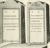 Picture 261 of 439 from I.[-VI.] pars Romanae vrbis topographiae & antiquitatum, quâ succinctê & breviter describuntur omnia quae tam publicê quam privatim videntur anim-adversione digna: (1597), leaf 496