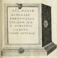 Picture 263 of 439 from I.[-VI.] pars Romanae vrbis topographiae & antiquitatum, quâ succinctê & breviter describuntur omnia quae tam publicê quam privatim videntur anim-adversione digna: (1597), leaf 500
