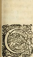An illustration from I.[-VI.] pars Romanae vrbis topographiae & antiquitatum, quâ succinctê & breviter describuntur omnia quae tam publicê quam privatim videntur anim-adversione digna: (1597)