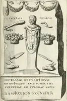 Picture 323 of 439 from I.[-VI.] pars Romanae vrbis topographiae & antiquitatum, quâ succinctê & breviter describuntur omnia quae tam publicê quam privatim videntur anim-adversione digna: (1597), leaf 658