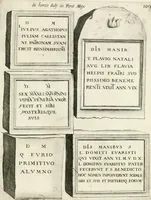 Picture 396 of 439 from I.[-VI.] pars Romanae vrbis topographiae & antiquitatum, quâ succinctê & breviter describuntur omnia quae tam publicê quam privatim videntur anim-adversione digna: (1597), leaf 804