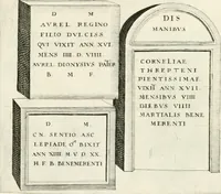 Picture 398 of 439 from I.[-VI.] pars Romanae vrbis topographiae & antiquitatum, quâ succinctê & breviter describuntur omnia quae tam publicê quam privatim videntur anim-adversione digna: (1597), leaf 806