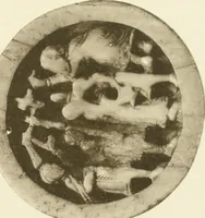 An illustration from Catalogue of the ivory carvings of the Christian era with examples of Mohammedan art and carvings in bone in the Department of British and Mediaeval Antiquities and Ethnography of the British Museum (1909)