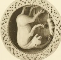 An illustration from Catalogue of the ivory carvings of the Christian era with examples of Mohammedan art and carvings in bone in the Department of British and Mediaeval Antiquities and Ethnography of the British Museum (1909)