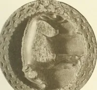 An illustration from Catalogue of the ivory carvings of the Christian era with examples of Mohammedan art and carvings in bone in the Department of British and Mediaeval Antiquities and Ethnography of the British Museum (1909)