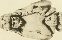 An illustration from Catalogue of the ivory carvings of the Christian era with examples of Mohammedan art and carvings in bone in the Department of British and Mediaeval Antiquities and Ethnography of the British Museum (1909)
