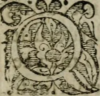 An illustration from Ivsti Calvini Veteracastrensis Pro Sacrosancta Catholica Romana Ecclesia, proqvesva ad eam transmigratione apologia ... Accessit Epistolarvm Catholicarvm eivsdem volvmen vnvm .. (1602)