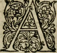 An illustration from Ivsti Calvini Veteracastrensis Pro Sacrosancta Catholica Romana Ecclesia, proqvesva ad eam transmigratione apologia ... Accessit Epistolarvm Catholicarvm eivsdem volvmen vnvm .. (1602)