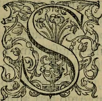 An illustration from Ivsti LipsI De constantia libri dvo : qui alloquium præciperuè continent in publicis malis (1584)