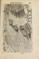 Picture 16 of 31 from Ivsti LipsI Poliorcetic[o]n, siue, De machinis, tormentis, telis, libri quinque : ad historiarum lucem (1625), leaf 109