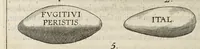 Picture 29 of 31 from Ivsti LipsI Poliorcetic[o]n, siue, De machinis, tormentis, telis, libri quinque : ad historiarum lucem (1625), leaf 172