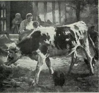 An illustration from IX esposizione internazionale d'arte della citta di Venezia, 1910 : catalogo (1910)