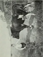 An illustration from IX esposizione internazionale d'arte della citta di Venezia, 1910 : catalogo (1910)