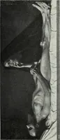 An illustration from IX esposizione internazionale d'arte della citta di Venezia, 1910 : catalogo (1910)