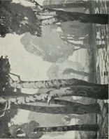 An illustration from IX esposizione internazionale d'arte della citta di Venezia, 1910 : catalogo (1910)