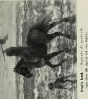 Picture 44 of 163 from IX esposizione internazionale d'arte della citta di Venezia, 1910 : catalogo (1910), leaf 302