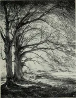 An illustration from IX esposizione internazionale d'arte della citta di Venezia, 1910 : catalogo (1910)