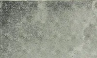 An illustration from IX esposizione internazionale d'arte della citta di Venezia, 1910 : catalogo (1910)