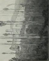 An illustration from IX esposizione internazionale d'arte della citta di Venezia, 1910 : catalogo (1910)