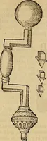 Picture 3 of 11 from Jacobi BerengarI De fractura cranii liber aureus : hactenus desideratus (1629), leaf 290