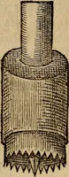 An illustration from Jacobi BerengarI De fractura cranii liber aureus : hactenus desideratus (1629)