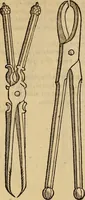 An illustration from Jacobi BerengarI De fractura cranii liber aureus : hactenus desideratus (1629)