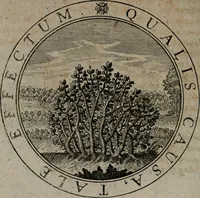 An illustration from Jacobi Bornitii emblemata ethico politica : ingenuâ atque eruditâ interpretatione nunc primùm illustrata / per M. Nicolaum Meerfeldt... (1669)