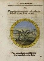 Picture 33 of 58 from Jacobi Bornitii Emblemata ethico politica (1669), leaf 120