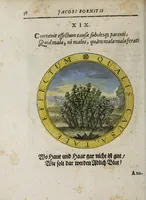 Picture 17 of 58 from Jacobi Bornitii Emblemata ethico politica (1669), leaf 64