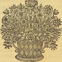 Picture 6 of 40 from Jacobi Cuiacii ic. praestantissimi Opera omnia in decem tomos distributa : quibus continentur tam priora, sive quæ ipse superstes edi curauit; quam posteriora, sive quae post obitum eius edita sunt, vel nunc primum prodeunt (1658), leaf 15