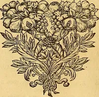 Picture 13 of 40 from Jacobi Cuiacii ic. praestantissimi Opera omnia in decem tomos distributa : quibus continentur tam priora, sive quæ ipse superstes edi curauit; quam posteriora, sive quae post obitum eius edita sunt, vel nunc primum prodeunt (1658), leaf 77