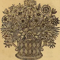 Picture 17 of 40 from Jacobi Cuiacii ic. praestantissimi Opera omnia in decem tomos distributa : quibus continentur tam priora, sive quæ ipse superstes edi curauit; quam posteriora, sive quae post obitum eius edita sunt, vel nunc primum prodeunt (1658), leaf 80