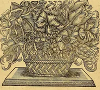 Picture 18 of 40 from Jacobi Cuiacii ic. praestantissimi Opera omnia in decem tomos distributa : quibus continentur tam priora, sive quæ ipse superstes edi curauit; quam posteriora, sive quae post obitum eius edita sunt, vel nunc primum prodeunt (1658), leaf 85