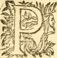 Picture 21 of 60 from Jacobi Cuiacii ic. praestantissimi Opera omnia in decem tomos distributa : quibus continentur tam priora, sive quæ ipse superstes edi curauit; quam posteriora, sive quae post obitum eius edita sunt, vel nunc primum prodeunt (1658), leaf 133