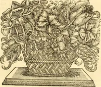An illustration from Jacobi Cuiacii ic. praestantissimi Opera omnia in decem tomos distributa : quibus continentur tam priora, sive quæ ipse superstes edi curauit; quam posteriora, sive quae post obitum eius edita sunt, vel nunc primum prodeunt (1658)