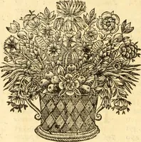 An illustration from Jacobi Cuiacii ic. praestantissimi Opera omnia in decem tomos distributa : quibus continentur tam priora, sive quæ ipse superstes edi curauit; quam posteriora, sive quae post obitum eius edita sunt, vel nunc primum prodeunt (1658)