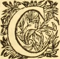 Picture 56 of 60 from Jacobi Cuiacii ic. praestantissimi Opera omnia in decem tomos distributa : quibus continentur tam priora, sive quæ ipse superstes edi curauit; quam posteriora, sive quae post obitum eius edita sunt, vel nunc primum prodeunt (1658), leaf 726