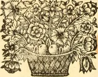 An illustration from Jacobi Cuiacii ic. praestantissimi Opera omnia in decem tomos distributa : quibus continentur tam priora, sive quæ ipse superstes edi curauit; quam posteriora, sive quae post obitum eius edita sunt, vel nunc primum prodeunt (1658)