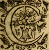 Picture 18 of 31 from Jacobi Cuiacii ic. praestantissimi Opera omnia in decem tomos distributa : quibus continentur tam priora, sive quæ ipse superstes edi curauit; quam posteriora, sive quae post obitum eius edita sunt, vel nunc primum prodeunt (1658), leaf 202