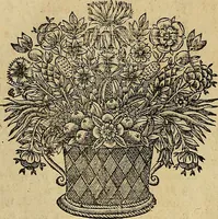 An illustration from Jacobi Cuiacii ic. praestantissimi Opera omnia in decem tomos distributa : quibus continentur tam priora, sive quæ ipse superstes edi curauit; quam posteriora, sive quae post obitum eius edita sunt, vel nunc primum prodeunt (1658)