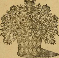 An illustration from Jacobi Cuiacii ic. praestantissimi Opera omnia in decem tomos distributa : quibus continentur tam priora, sive quæ ipse superstes edi curauit; quam posteriora, sive quae post obitum eius edita sunt, vel nunc primum prodeunt (1658)
