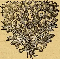 Picture 14 of 17 from Jacobi Cuiacii ic. praestantissimi Opera omnia in decem tomos distributa : quibus continentur tam priora, sive quæ ipse superstes edi curauit; quam posteriora, sive quae post obitum eius edita sunt, vel nunc primum prodeunt (1658), leaf 429