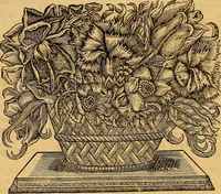 Picture 15 of 17 from Jacobi Cuiacii ic. praestantissimi Opera omnia in decem tomos distributa : quibus continentur tam priora, sive quæ ipse superstes edi curauit; quam posteriora, sive quae post obitum eius edita sunt, vel nunc primum prodeunt (1658), leaf 471