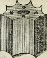 An illustration from Jacobi Martorellii Neapolitani De regia theca calamaria in regia academia litterarum Graecarum professoris sive melanodocheioi ejusque ornamentis (1756)