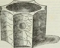 An illustration from Jacobi Martorellii Neapolitani De regia theca calamaria in regia academia litterarum Graecarum professoris sive melanodocheioi ejusque ornamentis (1756)